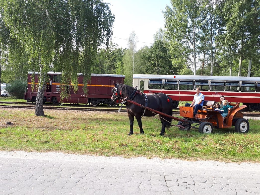 You are currently viewing 90 lat OSP Złotokłos