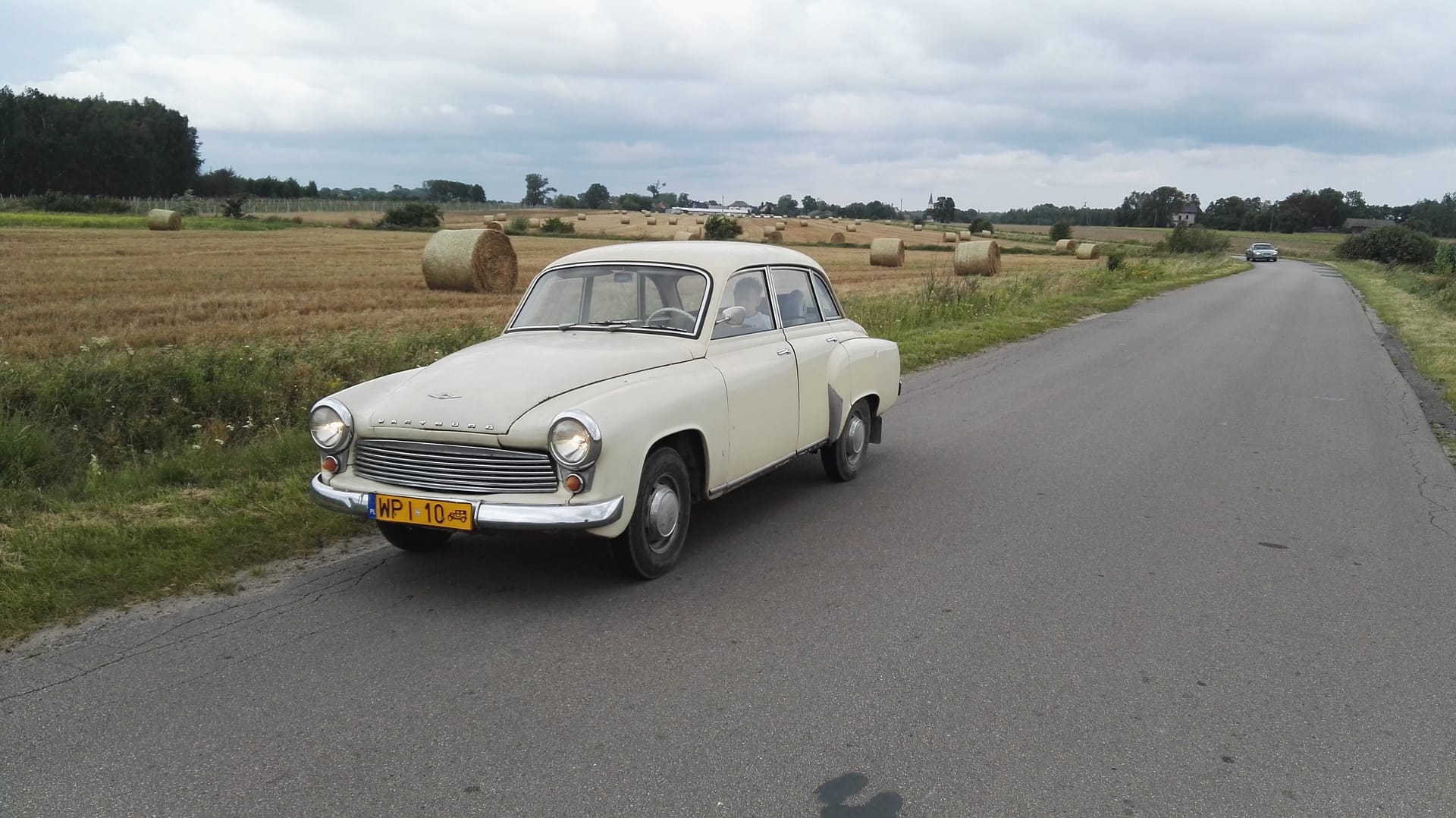 Read more about the article Co słychać w zalesiu