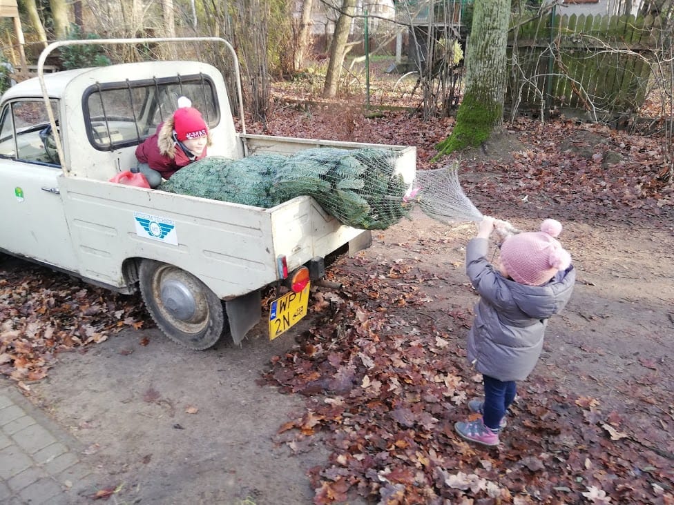 You are currently viewing Wyprawa po choinkę